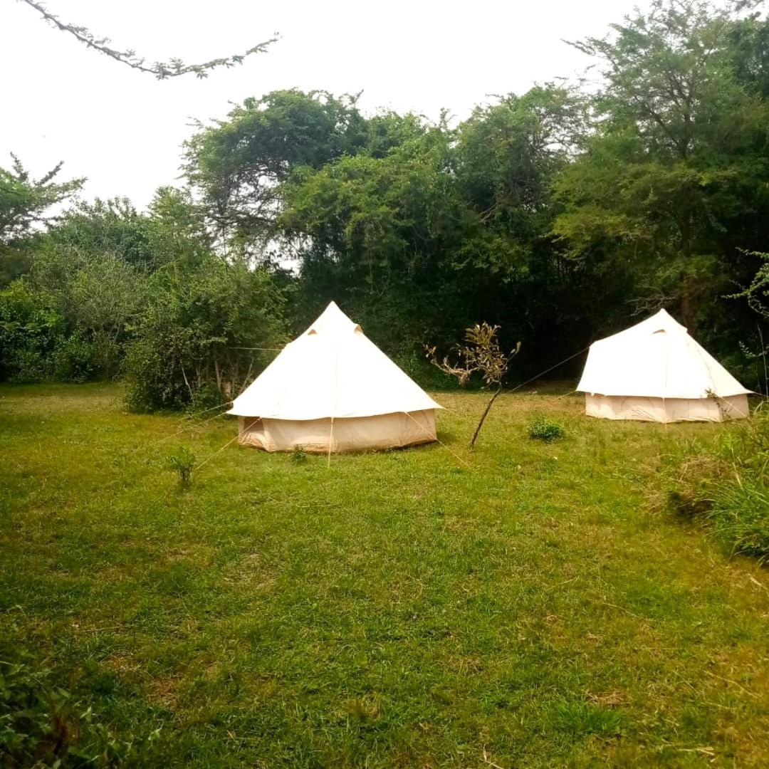 Murchison Giraffe Camp Paraa 外观 照片